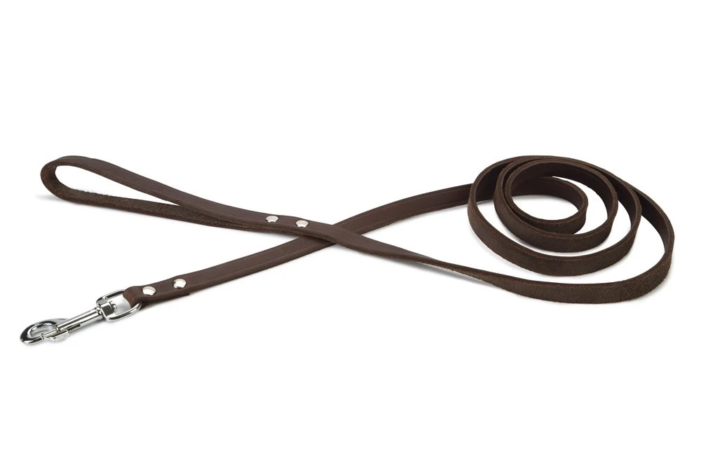 Beeztees - Hondenriem - Geniet - Bruin - 200x16 Cm 3 Beeztees - Hondenriem - Geniet - Bruin - 200x16 Cm