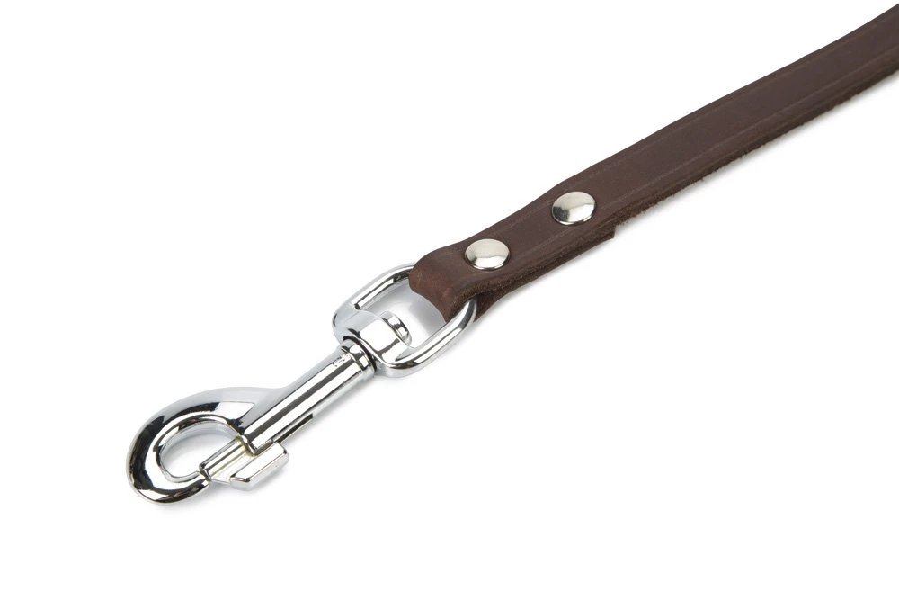 Beeztees - Hondenriem - Geniet - Bruin - 200x16 Cm 4 Beeztees - Hondenriem - Geniet - Bruin - 200x16 Cm - Afbeelding 2