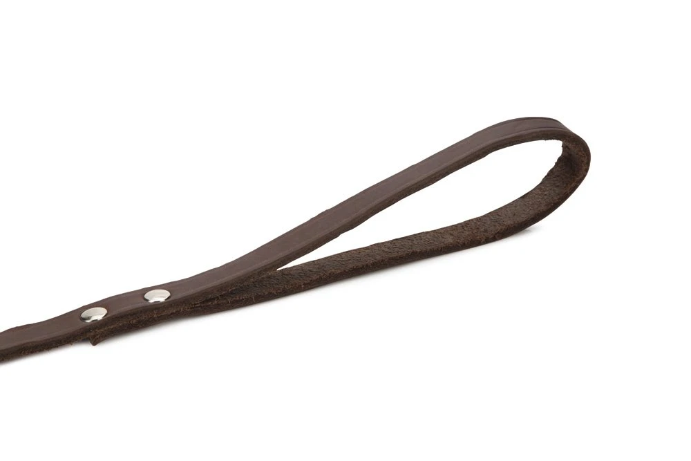 Beeztees - Hondenriem - Geniet - Bruin - 200x16 Cm 5 Beeztees - Hondenriem - Geniet - Bruin - 200x16 Cm - Afbeelding 3