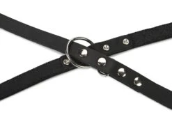 Beeztees - Hondenriem - Leer - Zwart - 200x18 Cm 7 Beeztees - Hondenriem - Leer - Zwart - 200x18 Cm -Hondenbenodigdheden Web 0736392 det2