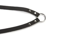 Beeztees Koppelstuk 2 Honden - Hondenriem - Zwart - 30x12 Cm -Hondenbenodigdheden Web 0736416 det2