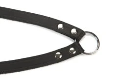 Beeztees Koppelstuk 2 Honden - Hondenriem - Zwart - 30x18 Cm -Hondenbenodigdheden Web 0736417 det2