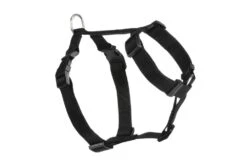 Beeztees Wandel- En Autogordel - Hond - Nylon - Zwart - 30-40 Cm