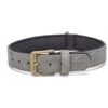 Beeztees Balacron Ax - Halsband Hond - Kunstleer - Grijs - 47-57 Cm X 30 Mm -Hondenbenodigdheden Web 0746397