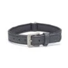 Beeztees Balacron Ax - Halsband Hond - Kunstleer - Zwart - 43-53 Cm X 25 Mm -Hondenbenodigdheden Web 0746416