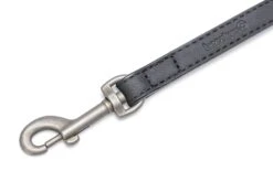 Beeztees Balacron Ax - Hondenriem - Kunstleer - Zwart - 100 Cm X 15 Mm 8 Beeztees Balacron Ax - Hondenriem - Kunstleer - Zwart - 100 Cm X 15 Mm -Hondenbenodigdheden Web 0746420 det1