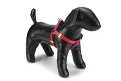 Beeztees Uni - Hondentuig - Roze - 35-60 Cm X 15 Mm