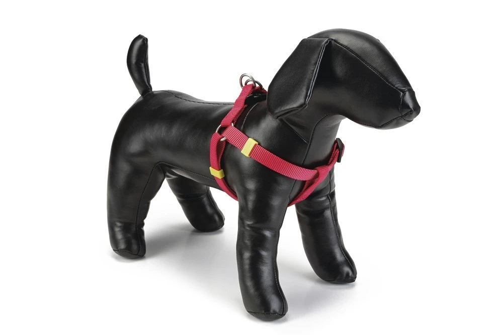 Beeztees Uni - Hondentuig - Roze - 35-60 Cm X 15 Mm 3 Beeztees Uni - Hondentuig - Roze - 35-60 Cm X 15 Mm