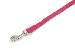 Beeztees Uni - Hondenriem - Roze - 120 Cm X 20 Mm -Hondenbenodigdheden Web 0746522 det1