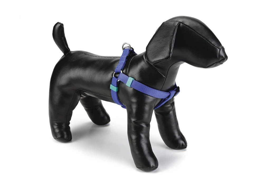 Beeztees Uni - Hondentuig - Blauw - 35-60 Cm X 15 Mm 3 Beeztees Uni - Hondentuig - Blauw - 35-60 Cm X 15 Mm