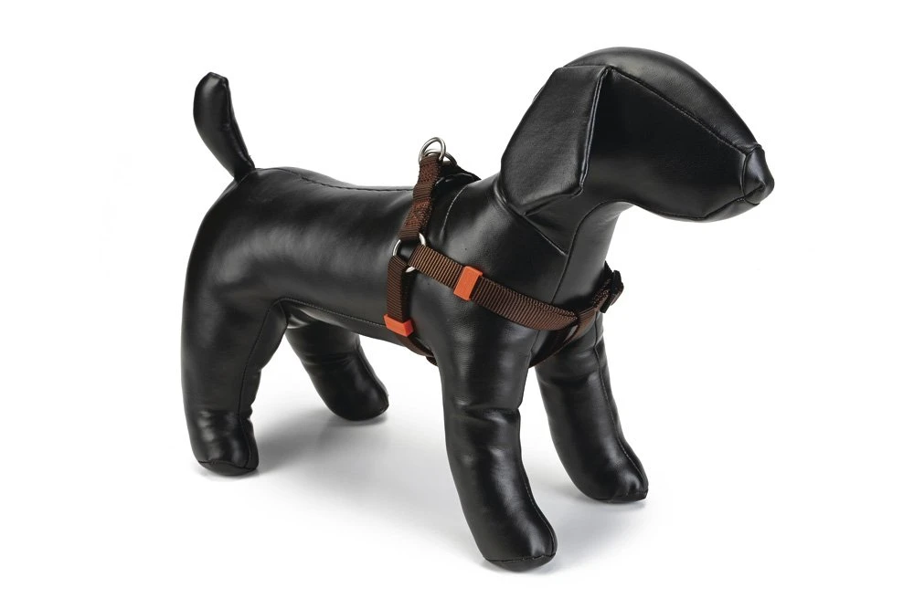 Beeztees Uni - Hondentuig - Donkerbruin - 60-100 Cm X 25 Mm 3 Beeztees Uni - Hondentuig - Donkerbruin - 60-100 Cm X 25 Mm