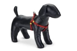 Beeztees Uni - Hondentuig - Rood - 35-60 Cm X 15 Mm