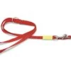 Beeztees Uni - Hondenriem - Rood - 200 Cm X 20 Mm -Hondenbenodigdheden Web 0746797