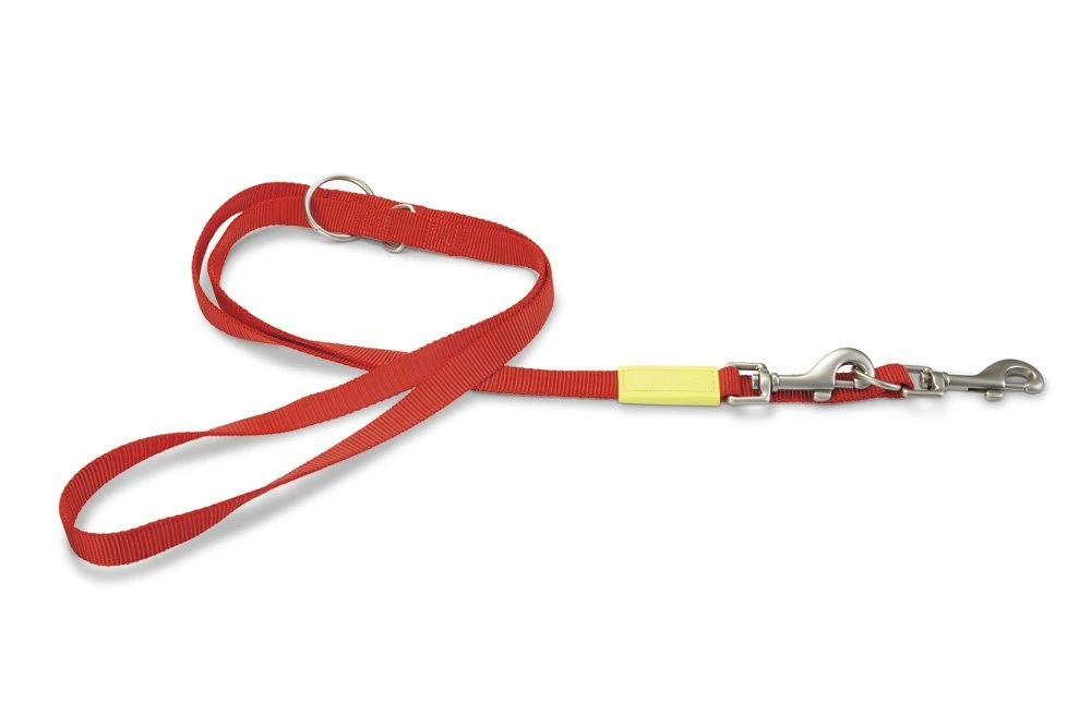 Beeztees Uni - Hondenriem - Rood - 200 Cm X 20 Mm 3 Beeztees Uni - Hondenriem - Rood - 200 Cm X 20 Mm