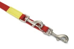 Beeztees Uni - Hondenriem - Rood - 200 Cm X 20 Mm 6 Beeztees Uni - Hondenriem - Rood - 200 Cm X 20 Mm -Hondenbenodigdheden Web 0746797 det1