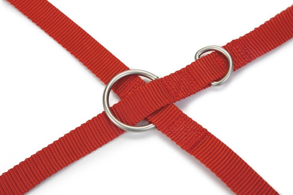 Beeztees Uni - Hondenriem - Rood - 200 Cm X 20 Mm 5 Beeztees Uni - Hondenriem - Rood - 200 Cm X 20 Mm - Afbeelding 3