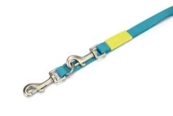 Beeztees Uni - Hondenriem - Nylon - Licht Blauw - 120cmx25mm 6 Beeztees Uni - Hondenriem - Nylon - Licht Blauw - 120cmx25mm -Hondenbenodigdheden Web 0747095 det1