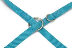 Beeztees Uni - Hondenriem - Nylon - Licht Blauw - 120cmx25mm 7 Beeztees Uni - Hondenriem - Nylon - Licht Blauw - 120cmx25mm -Hondenbenodigdheden Web 0747095 det2