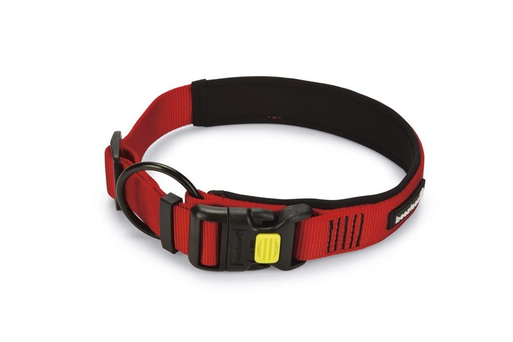 Beeztees Parinca Premium - Hondenhalsband - Nylon - Rood - 50-55 X 25 Mm 3 Beeztees Parinca Premium - Hondenhalsband - Nylon - Rood - 50-55 X 25 Mm