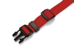 Beeztees Parinca Premium - Hondenhalsband - Nylon - Rood - 50-55 X 25 Mm 10 Beeztees Parinca Premium - Hondenhalsband - Nylon - Rood - 50-55 X 25 Mm -Hondenbenodigdheden Web 0747224 det2