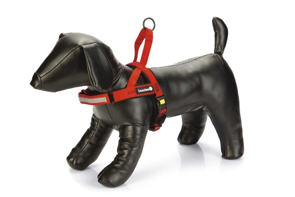 Beeztees Parinca Premium Comfort - Hondentuig - Nylon - Rood - 42-53 Cm X 20 Mm 4 Beeztees Parinca Premium Comfort - Hondentuig - Nylon - Rood - 42-53 Cm X 20 Mm - Afbeelding 2