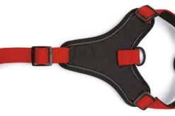 Beeztees Parinca Premium Y-Tuig - Hondentuig - Nylon - Rood - 53-65 Cm X 25 Mm -Hondenbenodigdheden Web 0747242 det3