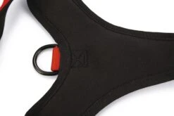 Beeztees Parinca Premium Y-Tuig - Hondentuig - Nylon - Rood - 53-65 Cm X 25 Mm -Hondenbenodigdheden Web 0747242 det4