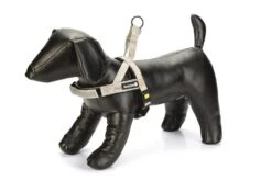 Beeztees Parinca Premium Comfort - Hondentuig - Nylon - Lichtgrijs - 62- 74 Cmx 25 Mm -Hondenbenodigdheden Web 0747313 det1