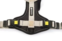 Beeztees Parinca Premium Y-Tuig - Hondentuig - Nylon - Lichtgrijs - 81- 100 Cm X 30 Mm 10 Beeztees Parinca Premium Y-Tuig - Hondentuig - Nylon - Lichtgrijs - 81- 100 Cm X 30 Mm -Hondenbenodigdheden Web 0747325 det2