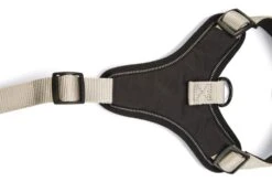 Beeztees Parinca Premium Y-Tuig - Hondentuig - Nylon - Lichtgrijs - 81- 100 Cm X 30 Mm 11 Beeztees Parinca Premium Y-Tuig - Hondentuig - Nylon - Lichtgrijs - 81- 100 Cm X 30 Mm -Hondenbenodigdheden Web 0747325 det3