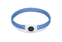 Beeztees Safety Gear Glowy - Halsband Hond - Blauw - 65x2,5 Cm