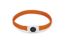 Beeztees Safety Gear Glowy - Halsband Hond - Oranje - 65x2,5 Cm