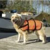 Beeztees Veiligheidsvest/Zwemvest - Hond - LG - 23-41Kg 1 Beeztees Veiligheidsvest/Zwemvest - Hond - LG - 23-41Kg -Hondenbenodigdheden Web 0765453
