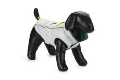 Beeztees Maly - Hondenjas - Lichgrijs/Groen - 32 Cm