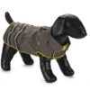 Beeztees Seja - Honden Regenjas - Grijs/Geel - 48 Cm -Hondenbenodigdheden Web 0766596