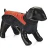 Beeztees Saby - Hondenjas - Rood/Zwart - 32 Cm 1 Beeztees Saby - Hondenjas - Rood/Zwart - 32 Cm -Hondenbenodigdheden Web 0766632