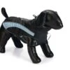 Beeztees Saby - Hondenjas - Zwart/Blauw - 36 Cm 2 Beeztees Saby - Hondenjas - Zwart/Blauw - 36 Cm -Hondenbenodigdheden Web 0766644