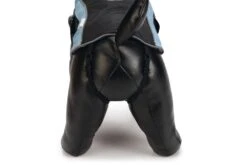 Beeztees Saby - Hondenjas - Zwart/Blauw - 40 Cm -Hondenbenodigdheden Web 0766645 det5