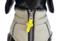 Beeztees Bobby - Hondenjas - Taupe - 24 Cm -Hondenbenodigdheden Web 0766651 det4