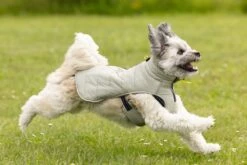 Beeztees Bobby - Hondenjas - Taupe - 40 Cm -Hondenbenodigdheden Web 0766655 sfeer3