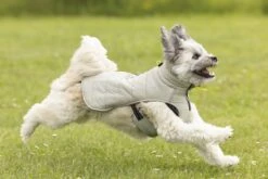 Beeztees Bobby - Hondenjas - Taupe - 62 Cm 17 Beeztees Bobby - Hondenjas - Taupe - 62 Cm -Hondenbenodigdheden Web 0766667 sfeer3