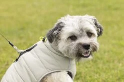 Beeztees Bobby - Hondenjas - Taupe - 68 Cm -Hondenbenodigdheden Web 0766668 sfeer6