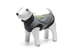 Beeztees Safety Gear Allia - Hondenjas - Reflecterend - Grijs - 24 Cm