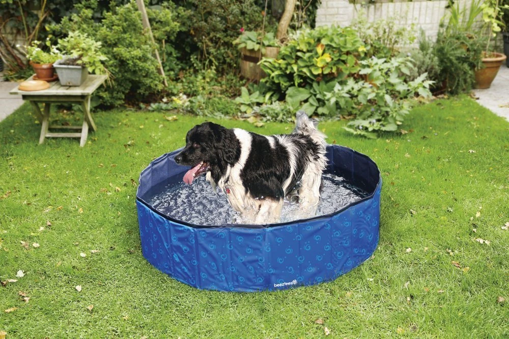 Beeztees Doggy Dip - Hondenzwembad - Blauw - 120x120x30 Cm 6 Beeztees Doggy Dip - Hondenzwembad - Blauw - 120x120x30 Cm - Afbeelding 5