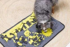 Beeztees Snuffelmat Flora - Hondenspeelgoed - Pluche - 70x45x7 Cm -Hondenbenodigdheden Webimage 0619913 sfeer1