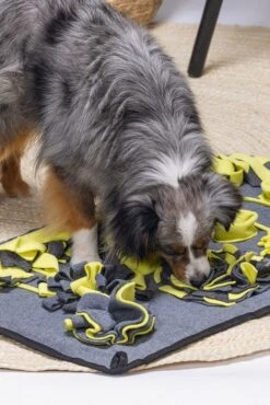 Beeztees Snuffelmat Flora - Hondenspeelgoed - Pluche - 70x45x7 Cm -Hondenbenodigdheden Webimage 0619913 sfeer2