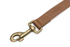 Beeztees BalacronAx - Hondenriem - Kunstleer - Bruin - 130x2,5 Cm -Hondenbenodigdheden Webimage 0746365 det1