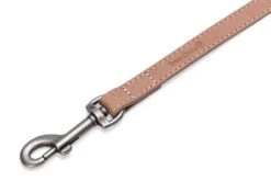 Beeztees BalacronAx - Hondenriem - Kunstleer - Roze - 130x1,5 Cm 10 Beeztees BalacronAx - Hondenriem - Kunstleer - Roze - 130x1,5 Cm -Hondenbenodigdheden Webimage 0746383 det1