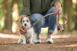 Beeztees BalacronAx - Hondenriem - Kunstleer - Roze - 130x1,5 Cm 15 Beeztees BalacronAx - Hondenriem - Kunstleer - Roze - 130x1,5 Cm -Hondenbenodigdheden Webimage 0746383 sfeer5