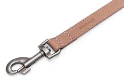 Beeztees BalacronAx - Hondenriem - Kunstleer - Roze - 180x2 Cm 8 Beeztees BalacronAx - Hondenriem - Kunstleer - Roze - 180x2 Cm -Hondenbenodigdheden Webimage 0746387 det1